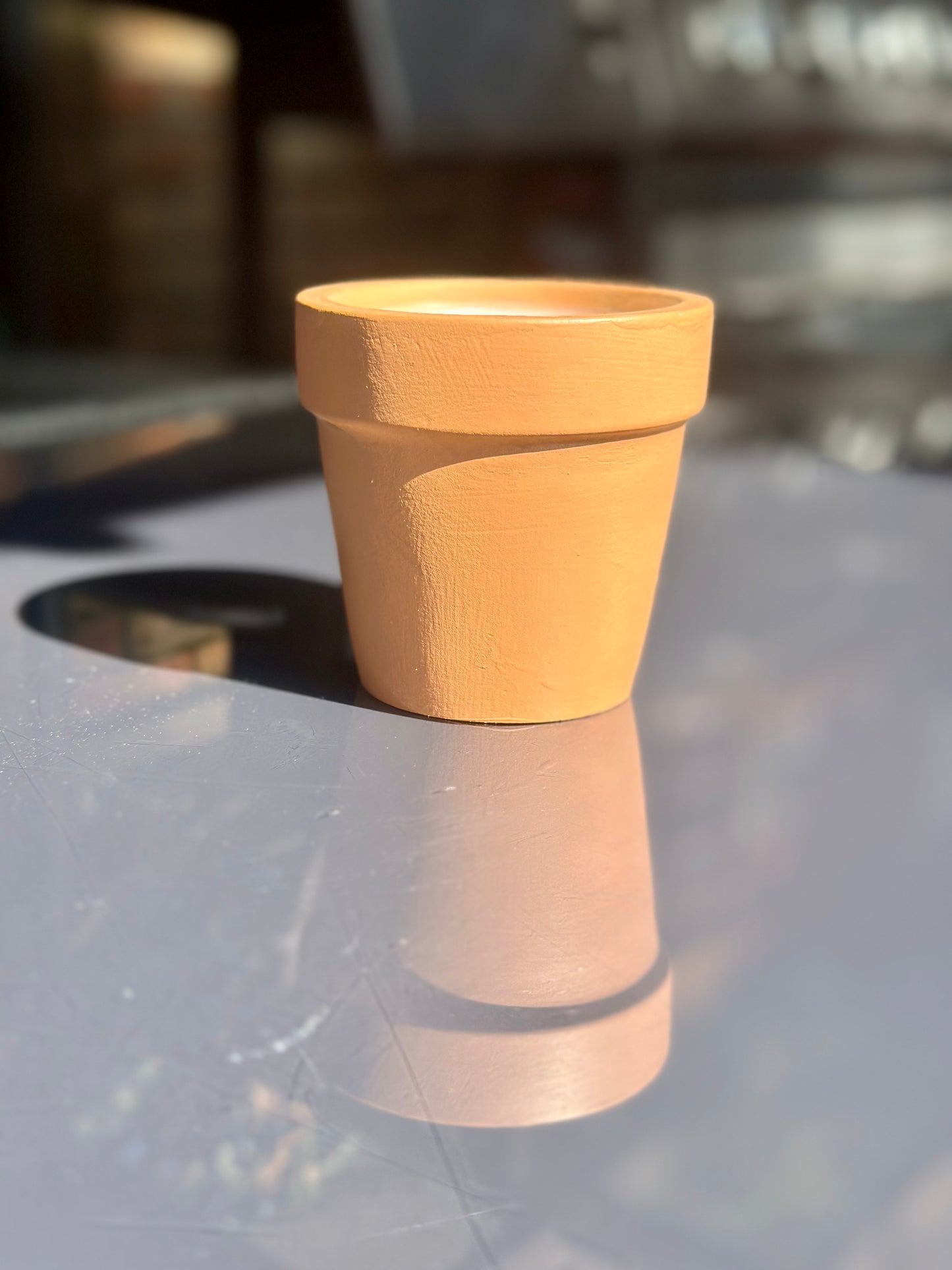 Citronella Bug Repellent Outdoor Candle