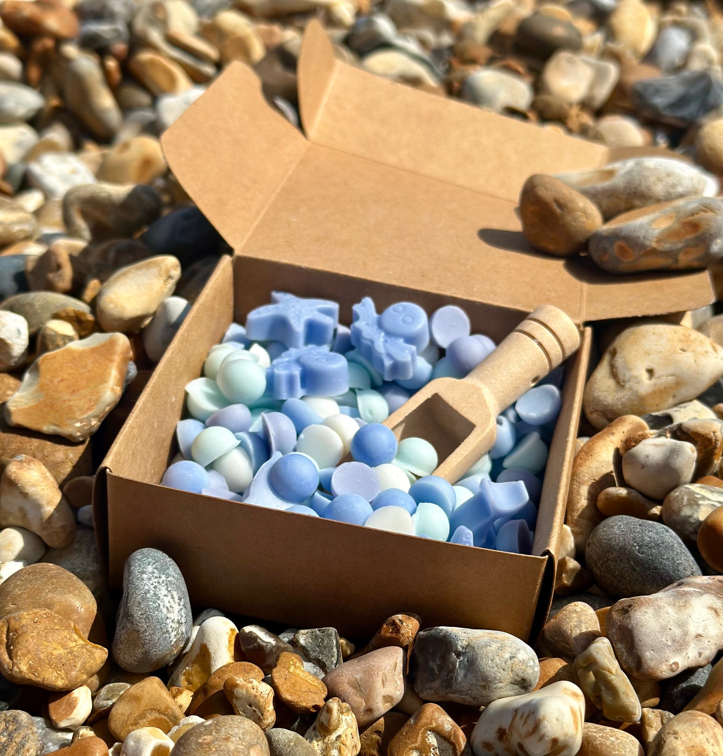 Under The Sea Scoopies