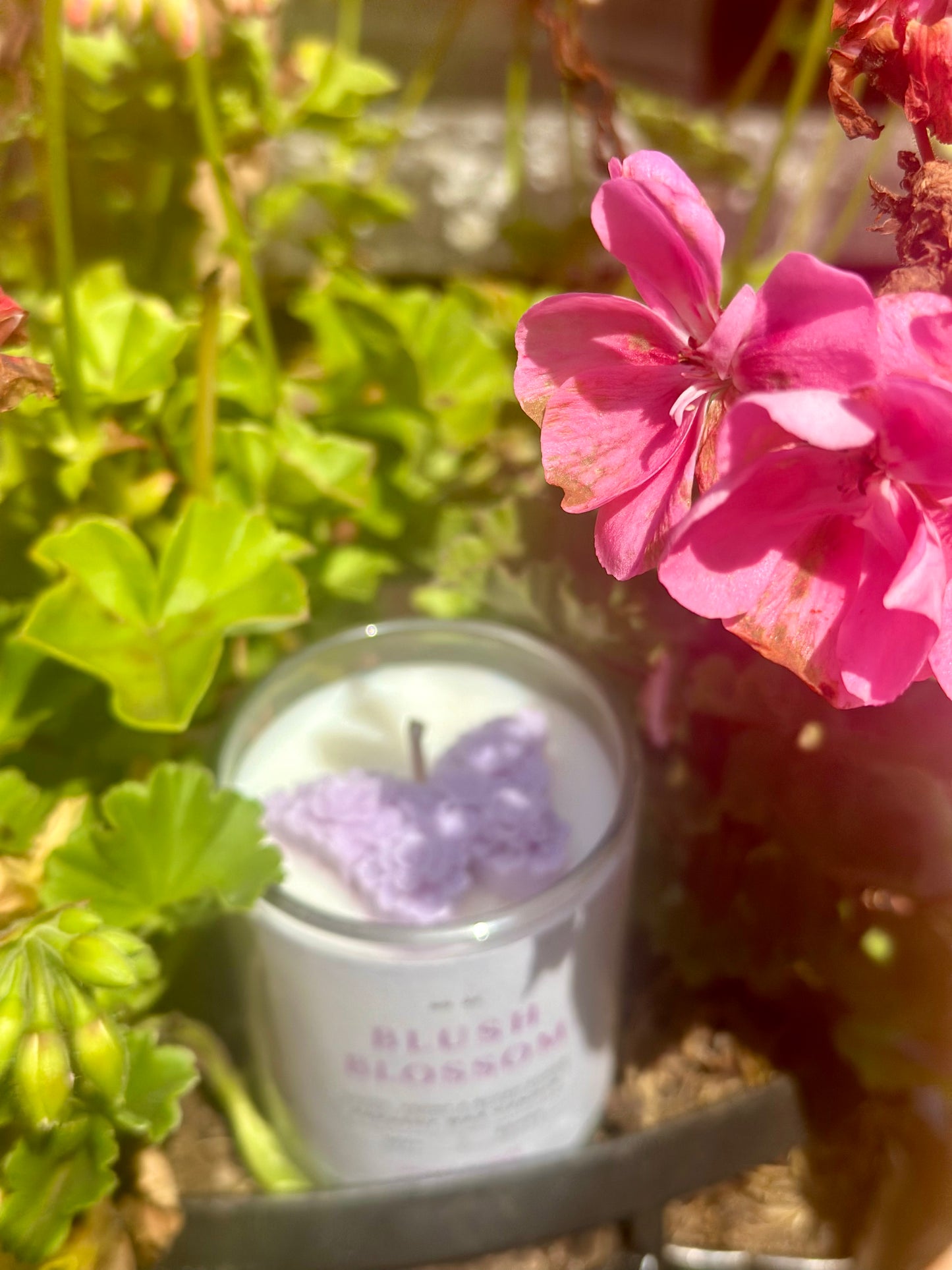 Blush Blossom