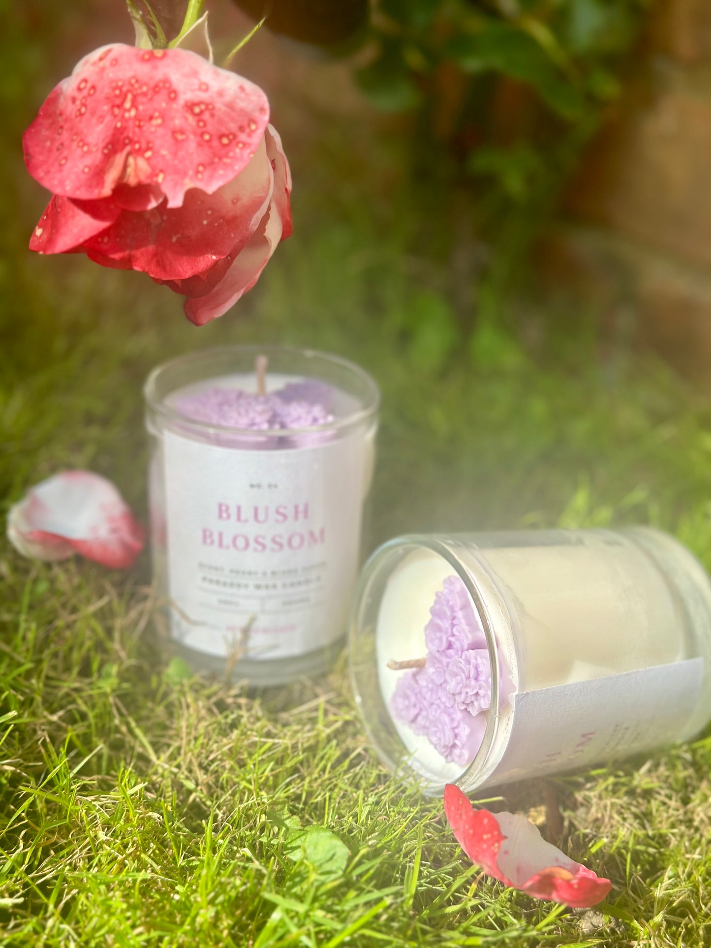 Blush Blossom